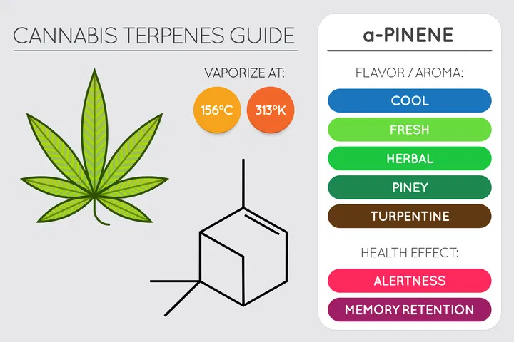 what is pinene