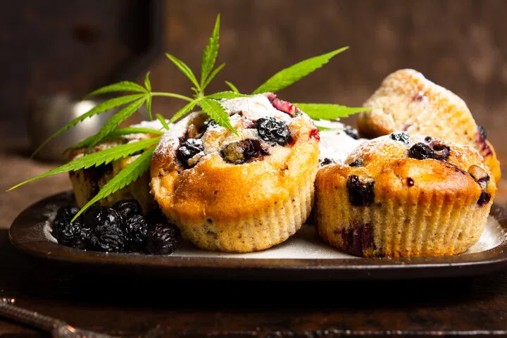 tips for enjoying space muffins safely