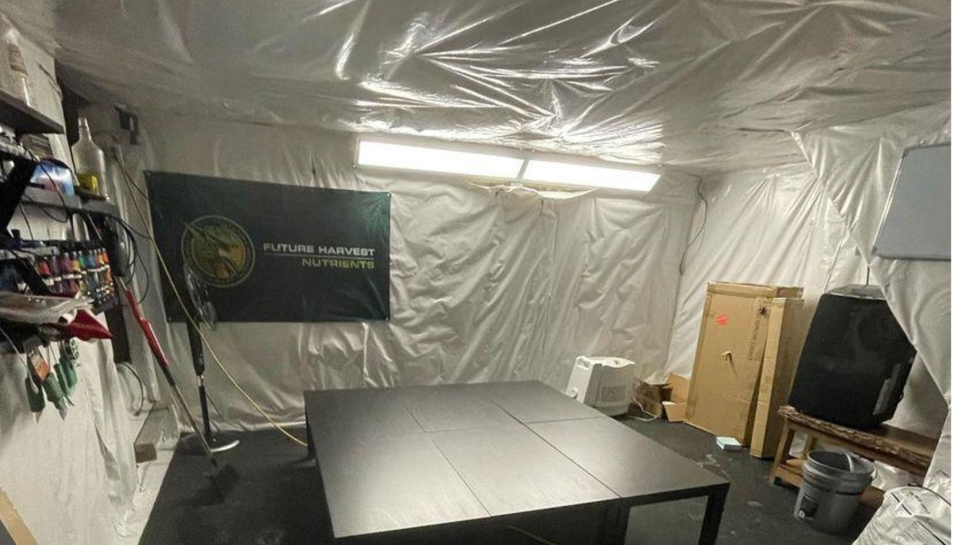 Reflective lining will maximise the light to your plants