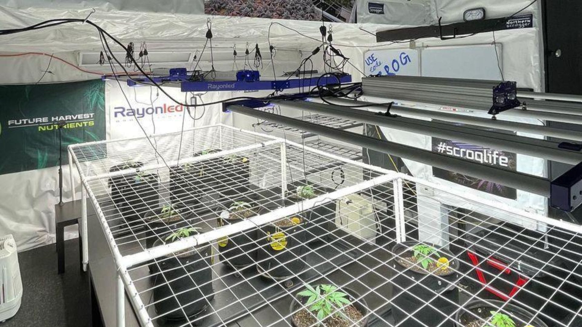 Install hanging bars to accommodate lights and other fetaures