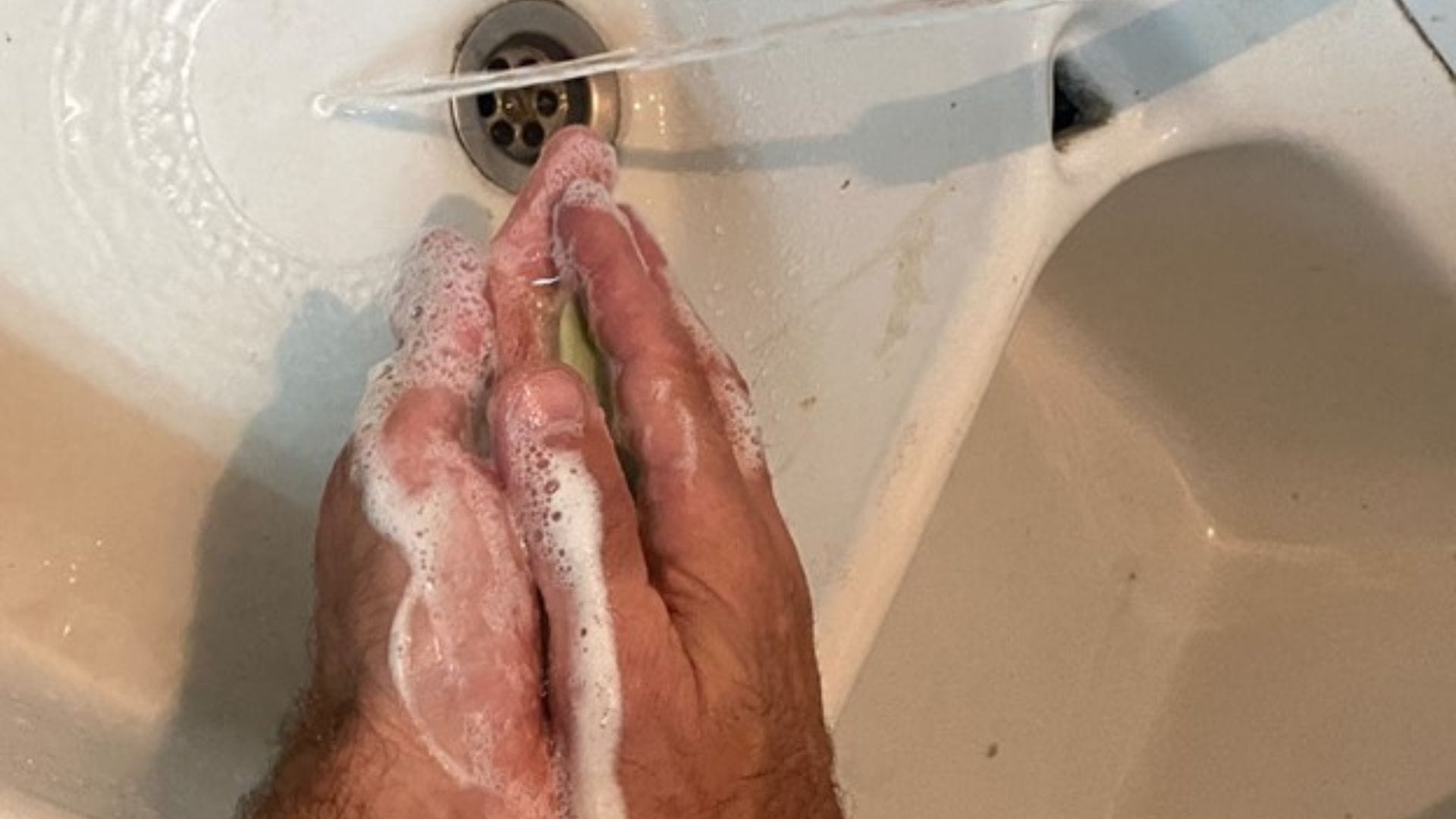 Wash your hands and keep the garden, including your tools, clean to help avoid diseases and pests in your garden