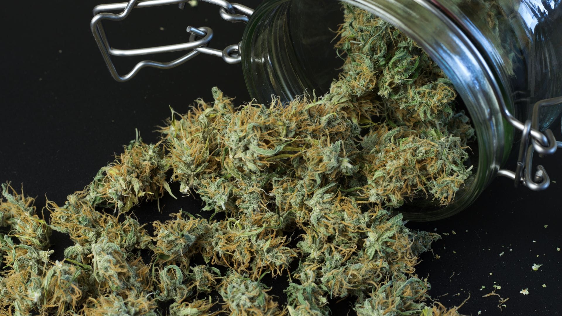 Follow these steps for maximum yields