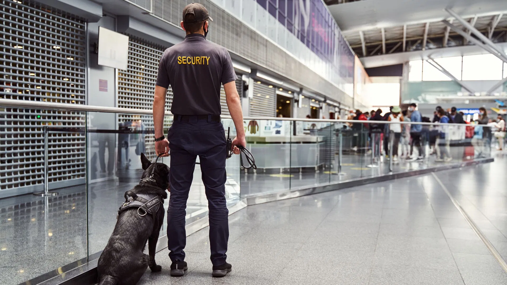 Getting on an International Flight with Cannabis Getting on an International Flight with Cannabis