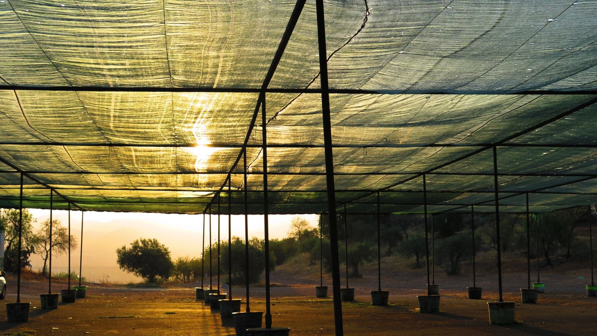 Utilising Shade Cloth for Temperature Control Utilising Shade Cloth for Temperature Control