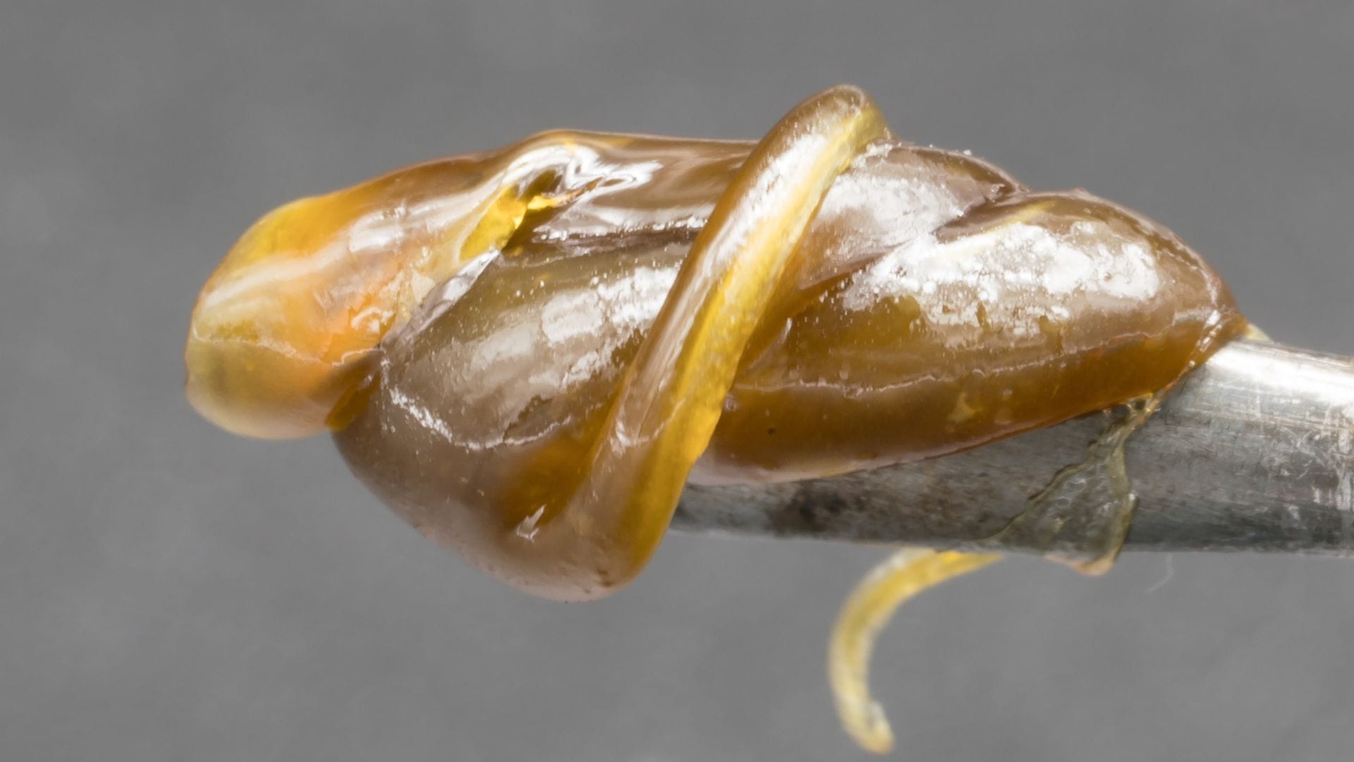 live rosin contains more volatile compounds