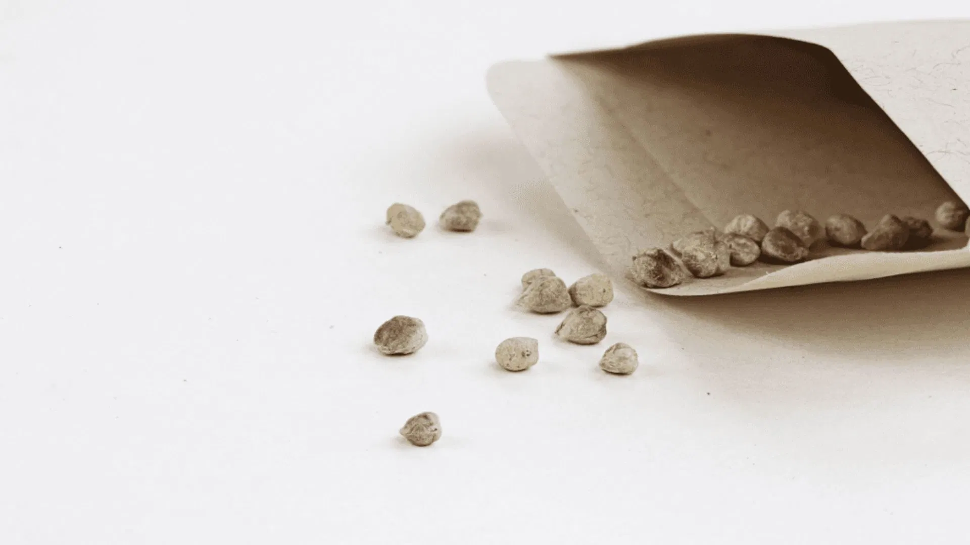 somewhere dark and dry like an envelope is idea for safely storing a few seeds