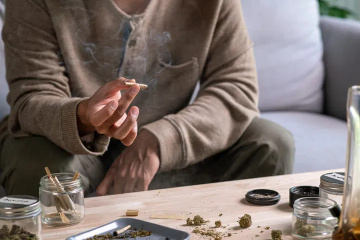 is autoflowering cannabis less potent