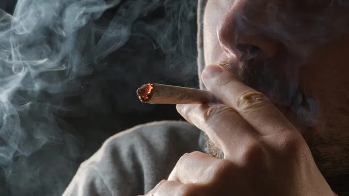 tolerance to marijuana