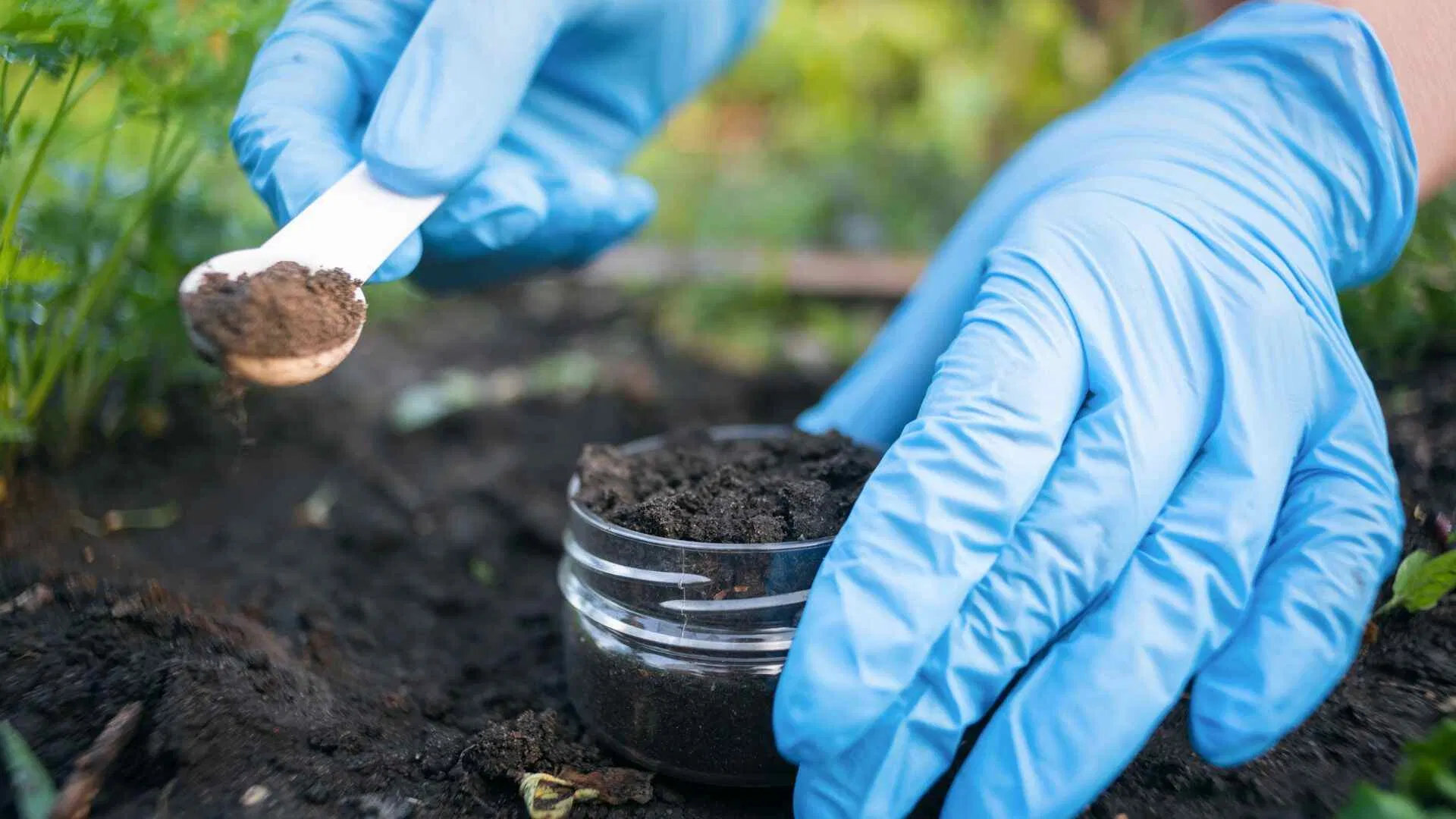 Take a soil sample before planting
