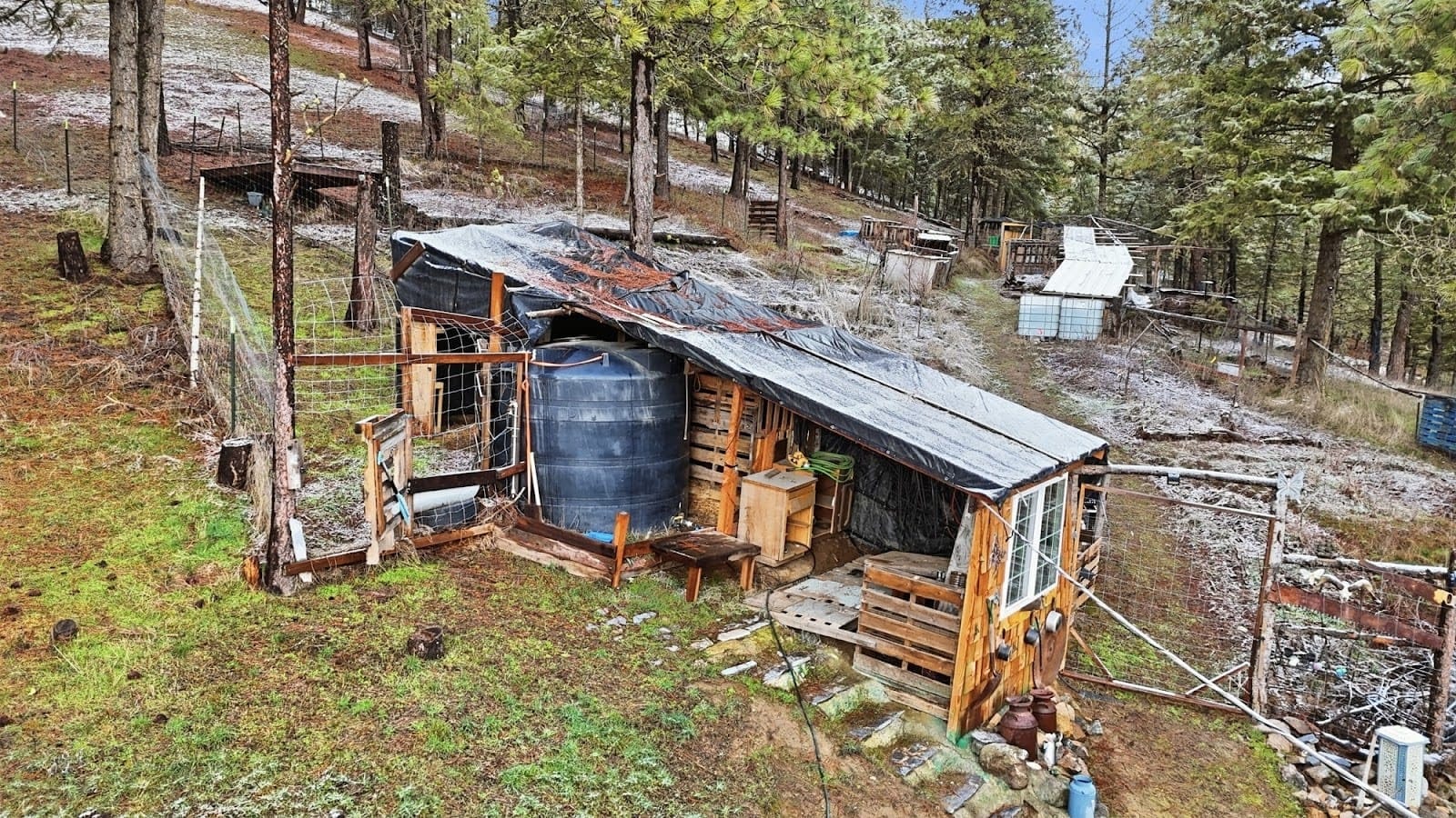 how to store rainwater for watering plants