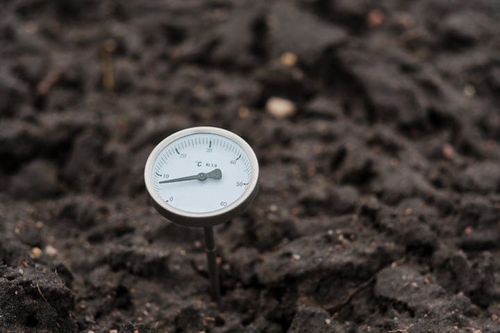 how to take soil temperature