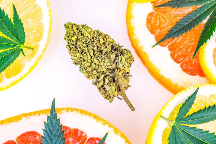 bud and fruit