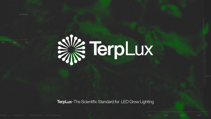 What Is TerpLux