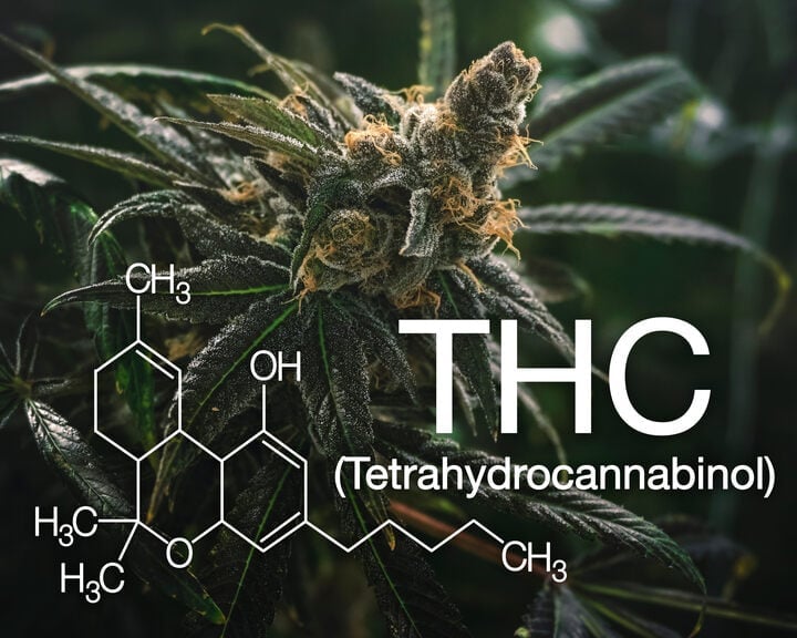 why does the thc in a seed matter