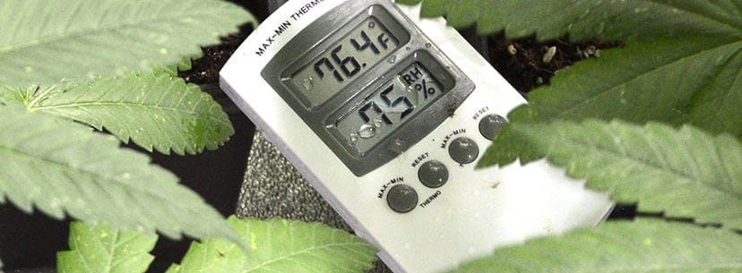 Thermometer measuring temperature and humidity