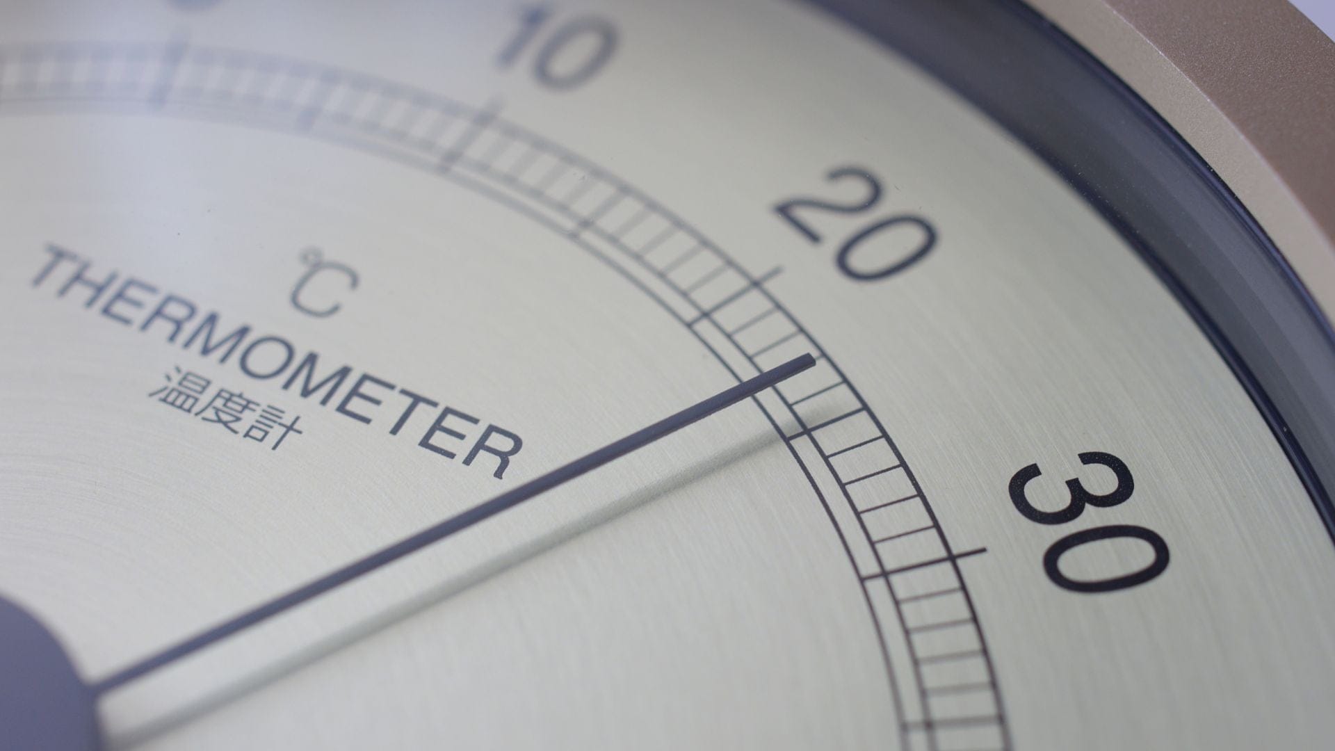 seeds germinate best between 20 and 25 degrees celsius