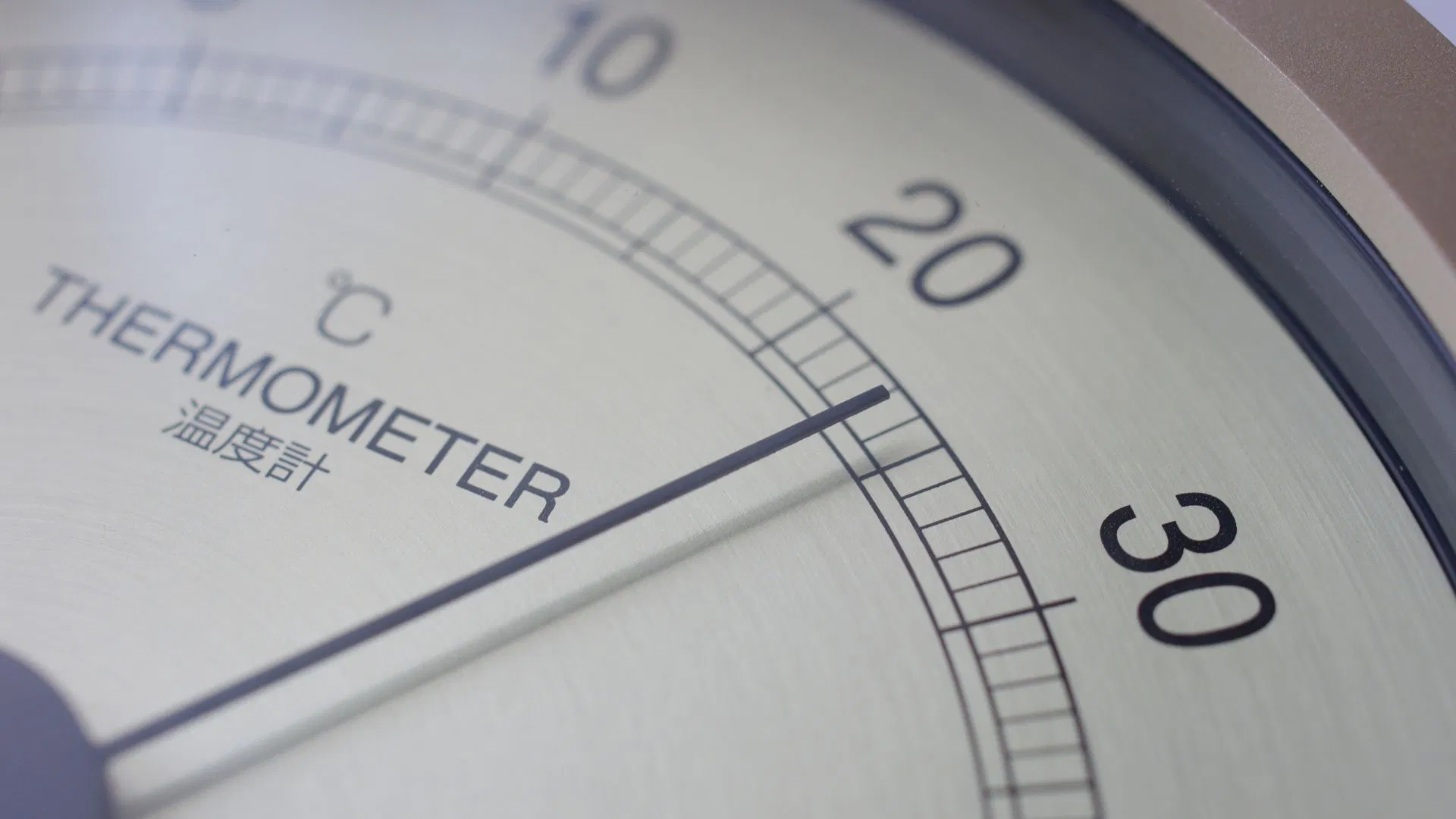 seeds germinate best between 20 and 25 degrees celsius