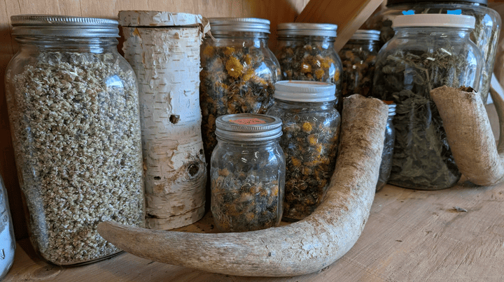 manure horn in biodynamic gardening