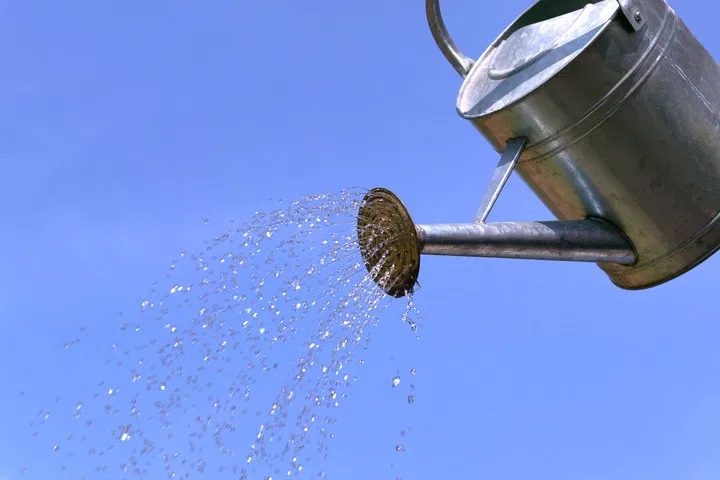 the science behind flushing