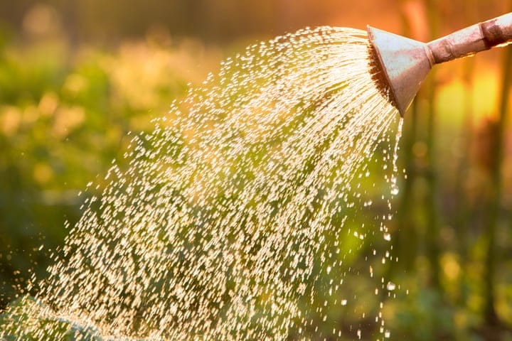 water consistently