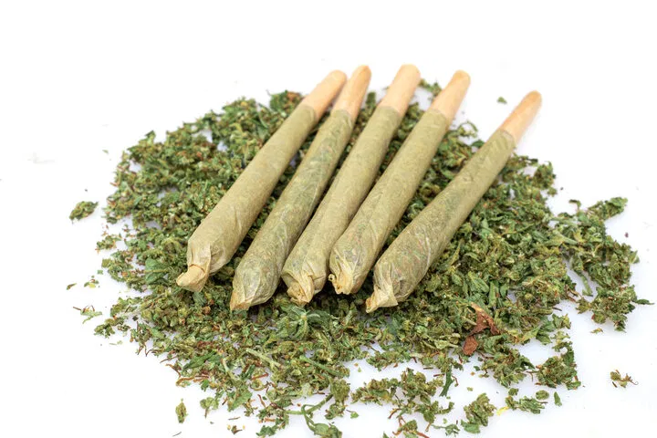 what is a joint
