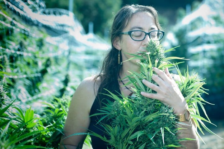 growing marijuana is exciiting