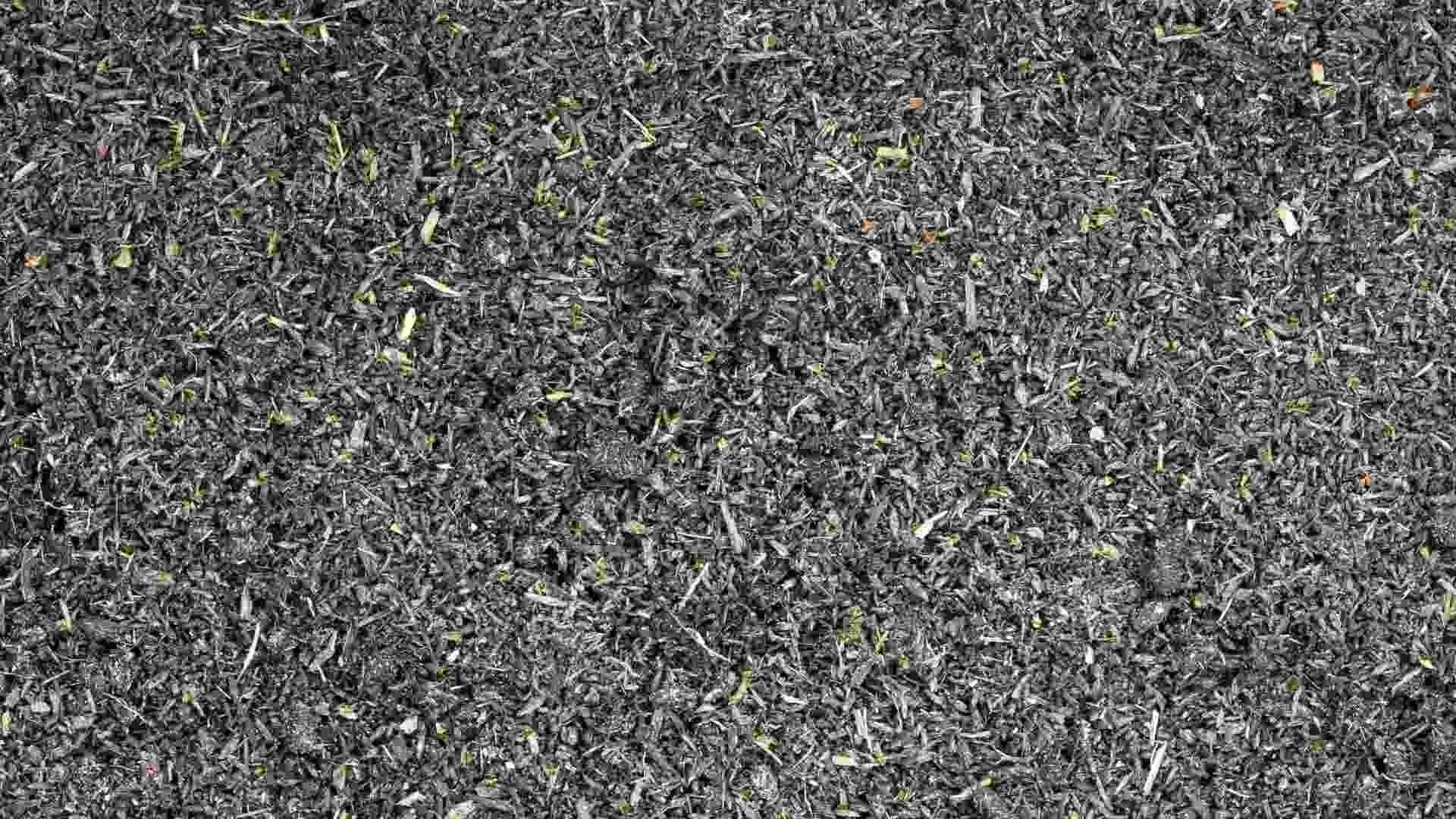 worm castings for cannabis soil