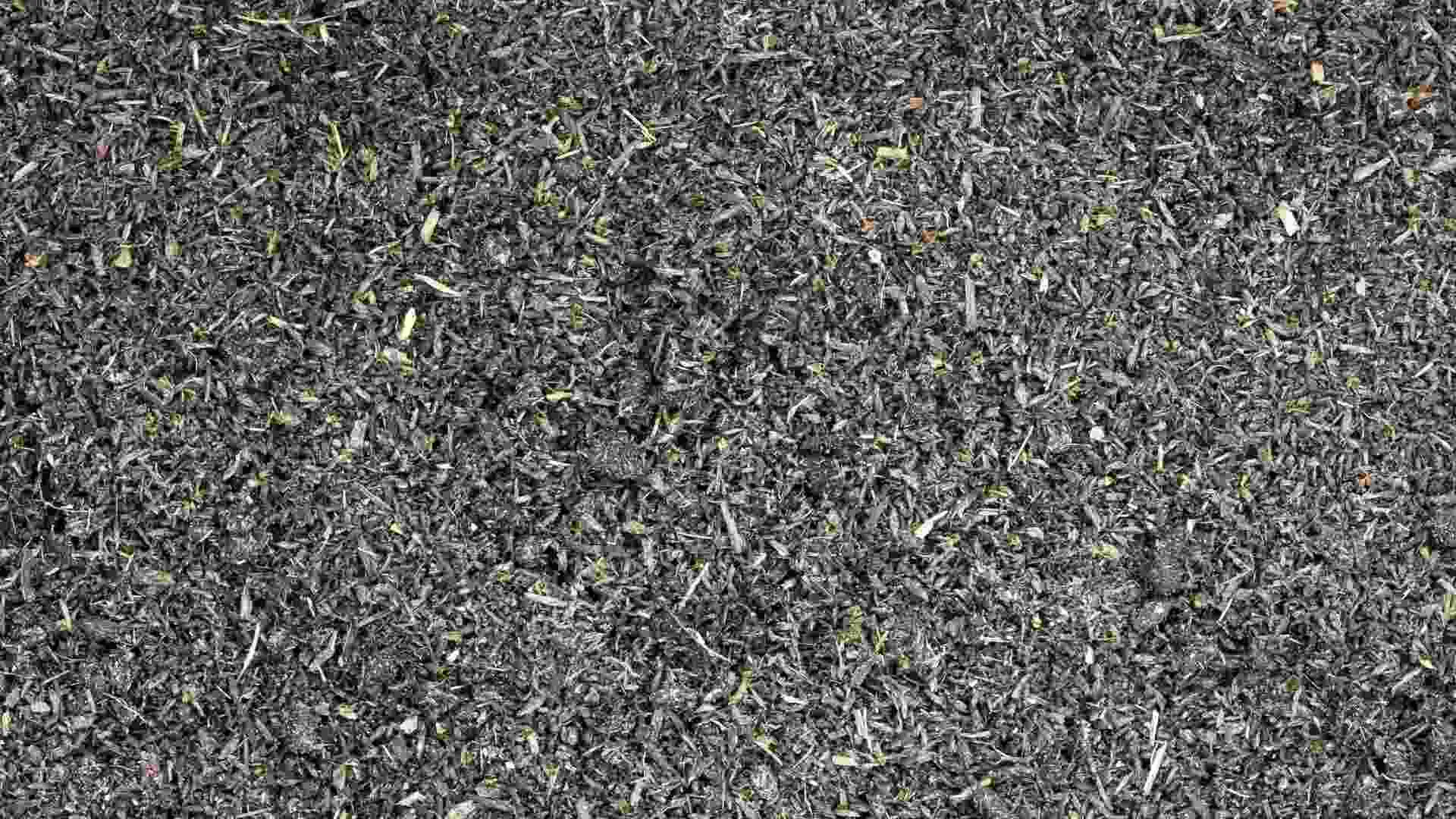 worm castings for cannabis soil